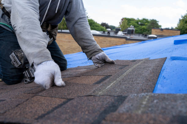 Best Chimney Flashing Repair  in Gibsonia, PA
